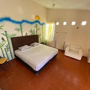 2* Maison d'hôtes Casa Bugambilias