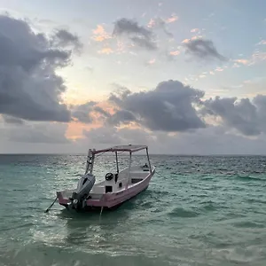 Home's Jungle Puerto Morelos 20 Minutes From The Airport Cancun