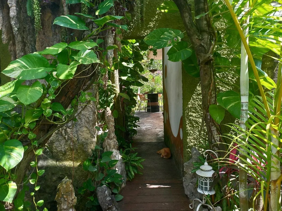 Quinta Vintage Hotel Cancun Mexico