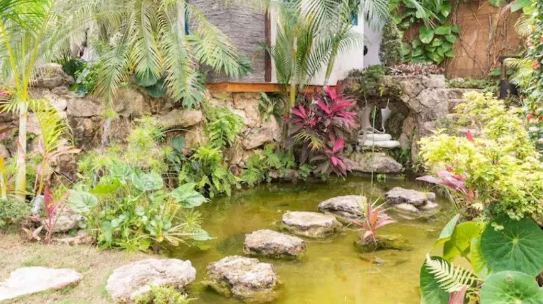 Hotel Quinta Vintage Cancún 0*,